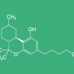 Chemische Zusammensetzung von Hexahydrocannabinol (HHC)